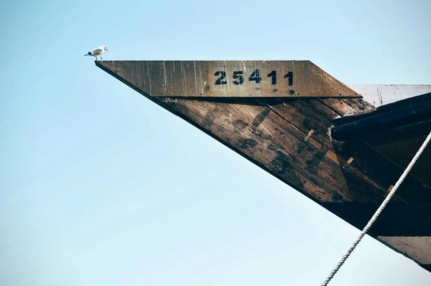 hyper horizon revolution unleashed