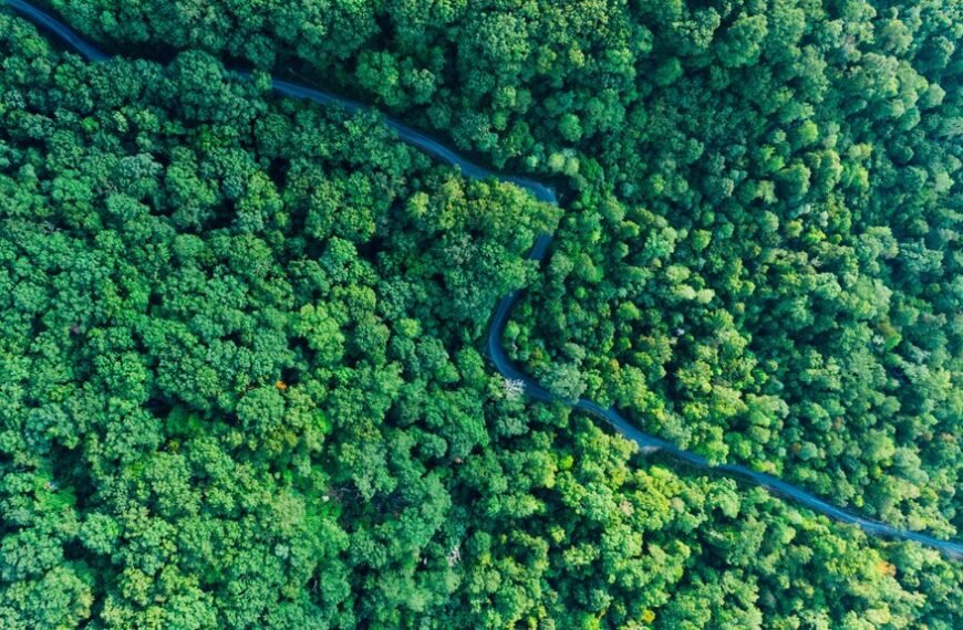 stellar growth curve analysis