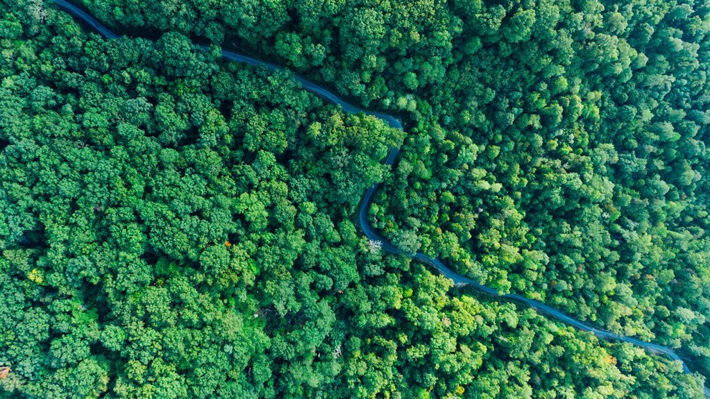 stellar growth curve analysis